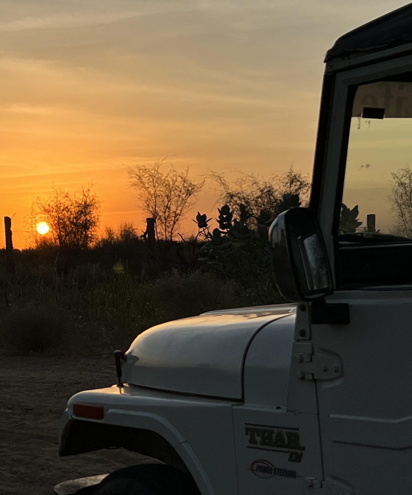 http://jeep%20safari%20in%20jaisalmer
